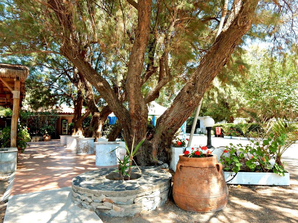 Camping Mithimna كيساموس المظهر الخارجي الصورة